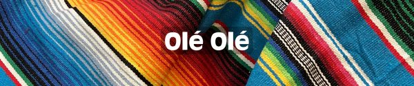hero banner image for Ole product category Adobo Ole Black Bean ole Fideo Ole Picadillo Ole' and more